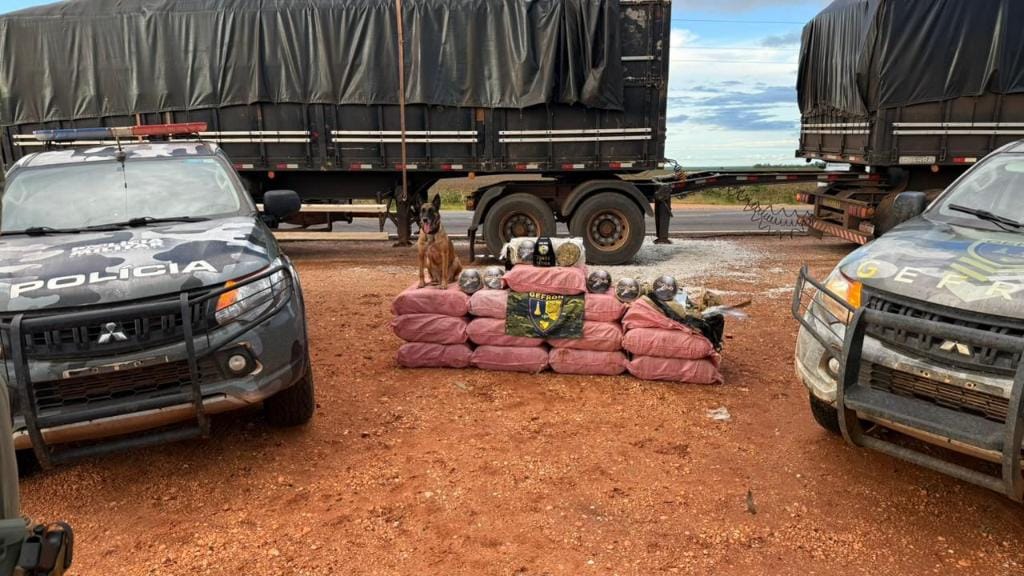Operações integradas causam  prejuízo de R$ 2,5 bilhões às facções criminosas em pouco mais de sete anos