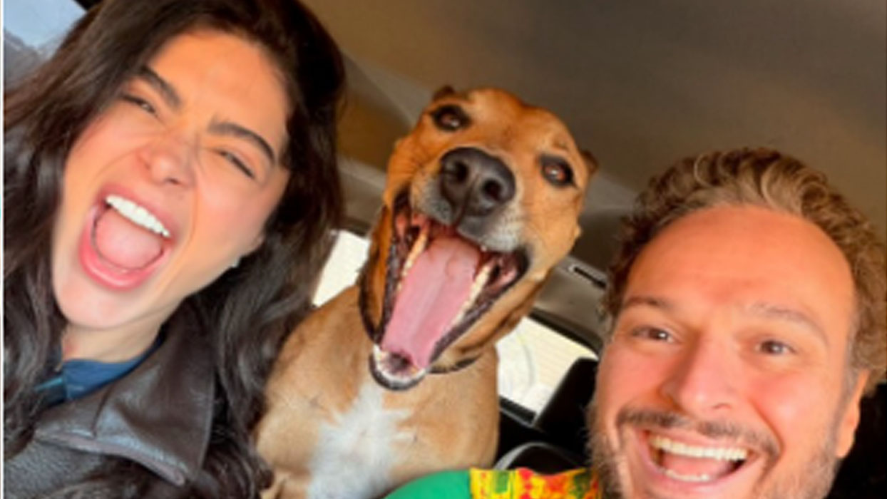Aline Campos adota cachorro que apareceu em sua porta e celebra: ‘Ele nos escolheu’